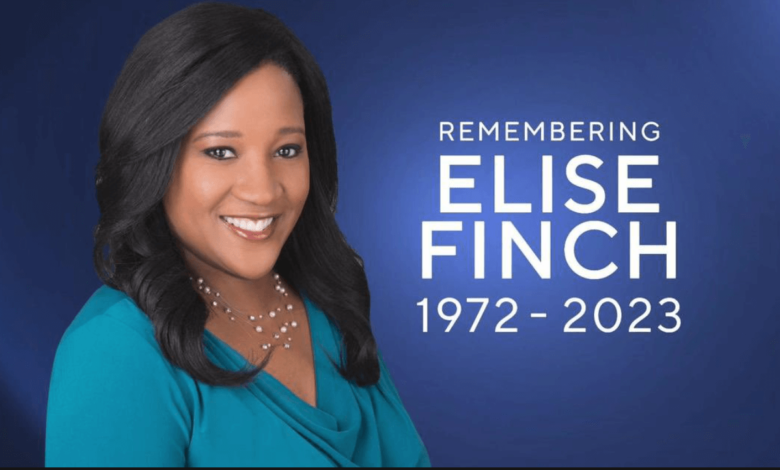 Elise Finch Net Worth