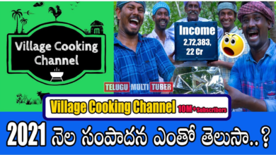 Village Cooking Channel Income Per Month