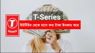 T-Series Income Per Day