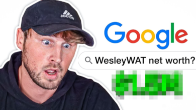 WesleyWAT Net Worth