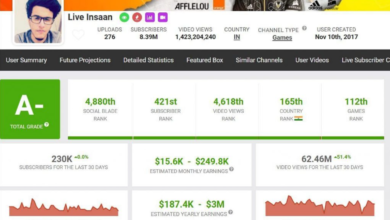 What Is the Monthly Income of Triggered Insaan?