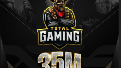 What Is the Net Worth of Total Gaming?