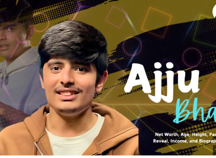 Ajju Bhai Monthly Income