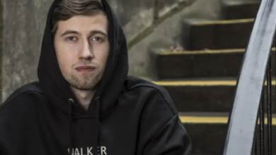Alan Walker Net Worth