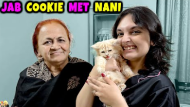 Aayu and Pihu Show Monthly Income