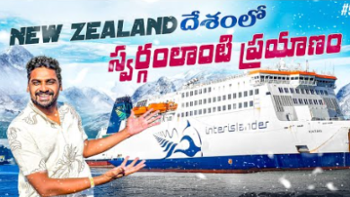 A Telugu Traveller Income