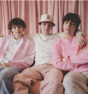 Sturniolo Triplet Net Worth