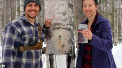 Simple Living Alaska Income