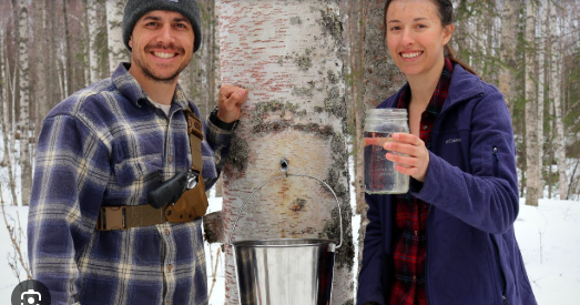 Simple Living Alaska Income