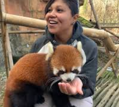 Red Panda Net Worth