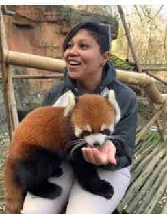 Red Panda Net Worth