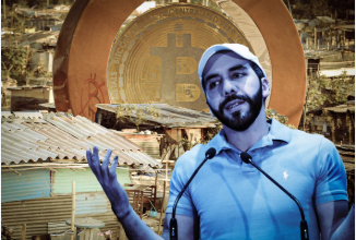 Differ El Salvador Net Worth