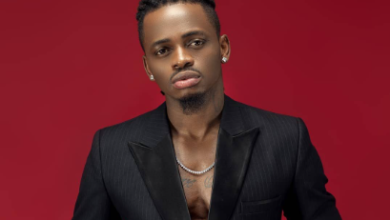 Diamond Platnumz Net Worth 2023