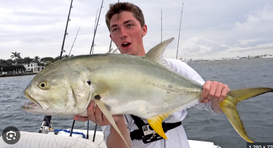 Googan Baits Net Worth