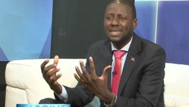 Fernando Estimé Net Worth