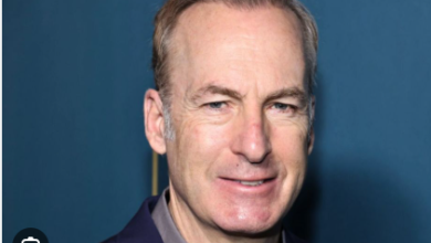 Everythings Regular Net Worth