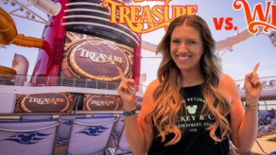 DisLyfeofOurs Net Worth