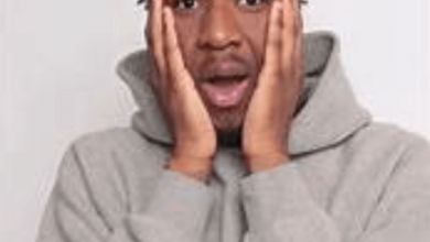 Zeddy Will Net Worth