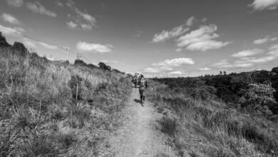 call consistency tracking report