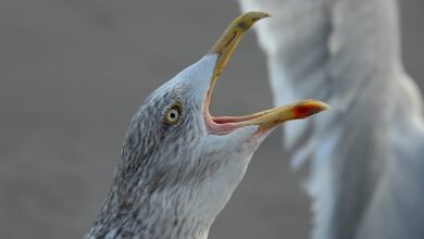 high risk user evening behavior