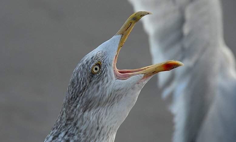 high risk user evening behavior