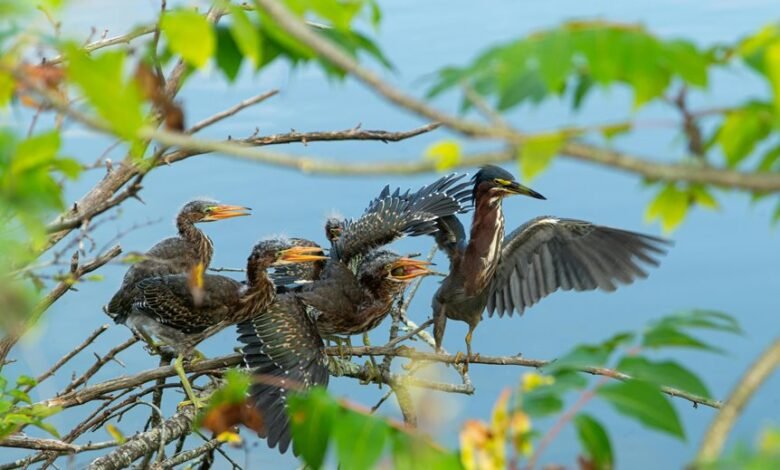 long term call frequency changes