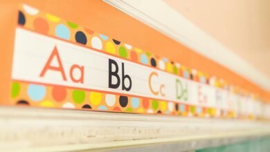 philadelphia eagles team colors