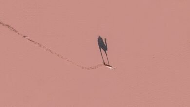 user tier tracking delay