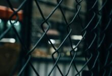 caller investigation defense network