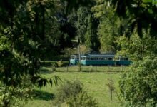 compliance tracking council numbers