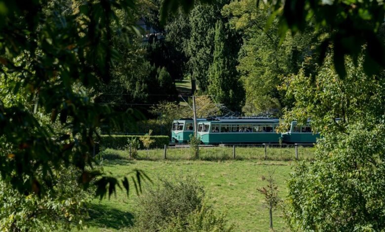 compliance tracking council numbers