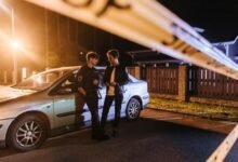 fraud detection activity reporting