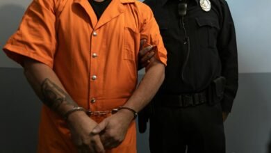 fraud detection enforcement institute