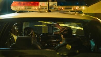 fraud tracking regulation service