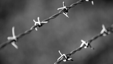 fraudulent caller safety division