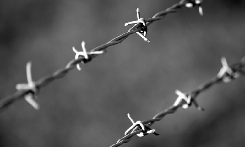 fraudulent caller safety division