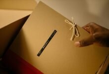 surveillance integrity protection bureau