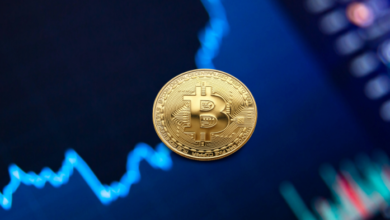 Remittances Using Cryptocurrency